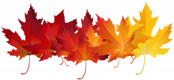 Red Autumn Leaves Transparent Clip Art Image | Gallery Yopriceville ...