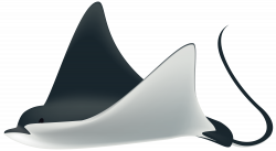 Shark Clipart For Kids at GetDrawings.com | Free for personal use ...