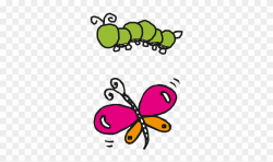 Caterpillars And Butterflies - Caterpillar And Butterfly ...