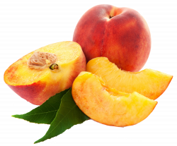 Large Peaches PNG Clipart | Floral Inspiration | Pinterest | Peach ...