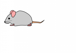 cute mouse clipart bclipart free clipart images WOcUy5 clipart ...