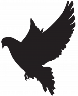 Dove Silhouette PNG Clip Art Image | Gallery Yopriceville - High ...