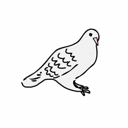 dove is sitting Icons PNG - Free PNG and Icons Downloads