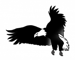 Black And White Eagle Drawing at GetDrawings.com | Free for personal ...