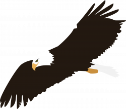 Eagle Silhouette Clip Art Free at GetDrawings.com | Free for ...