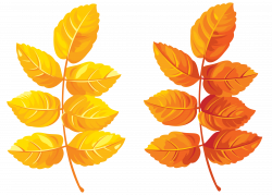 Fall Leaves Clipart PNG Image | Gallery Yopriceville - High-Quality ...