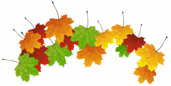 Fall Leaves PNG Clipart Image | Gallery Yopriceville - High-Quality ...
