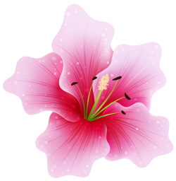 Large Pink Flower PNG Clipart | Gallery Yopriceville - High-Quality ...