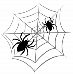 Halloween Spider Web PNG Clipart | Gallery Yopriceville - High ...