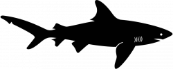 Shadow clipart shark - Pencil and in color shadow clipart shark