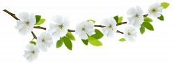 Download SPRING Free PNG transparent image and clipart
