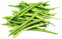 Green Beans PNG Image - PurePNG | Free transparent CC0 PNG Image Library