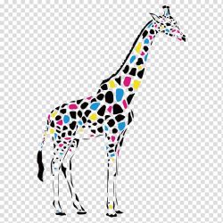 Reticulated giraffe Abstract art Drawing Painting, giraffe ...