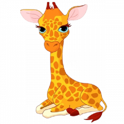 baby_giraffe_cartoon-996.png (600×600) | I love giraffes | Pinterest ...
