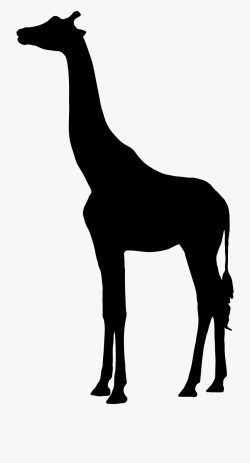 Clipart - African Giraffe Silhouette, Cliparts & Cartoons ...