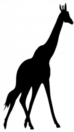 African Giraffe Silhouette at GetDrawings.com | Free for personal ...