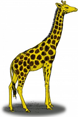 Clipart - Colored giraffe