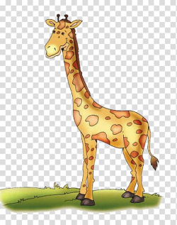 Northern giraffe Reticulated giraffe Drawing Color, Cute ...