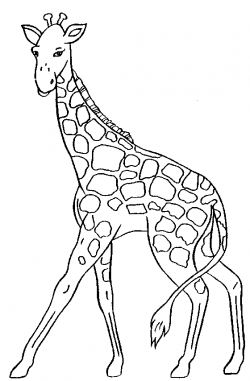 Giraffe clipart 6 - ClipartPost