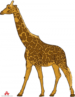 Wild giraffe colored clipart free design download - ClipartPost