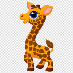 Giraffe , Giraffe Cartoon Drawing , Giraffe transparent ...