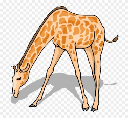 Free Giraffe Clipart - Giraffe Drinking Water Clipart - Png ...