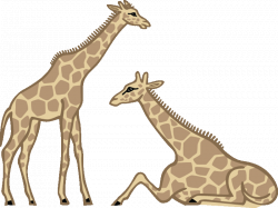 Giraffe Clipart For Kids - Free Clip Art - Clipart Bay