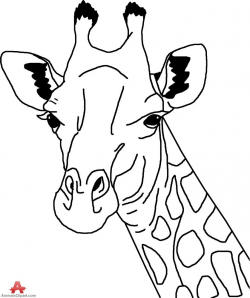 Giraffe clipart head and neck - Pencil and in color giraffe ...