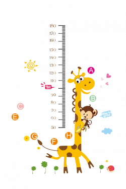 Growth chart Child Wall decal Nursery - Giraffe growth process 800 ...