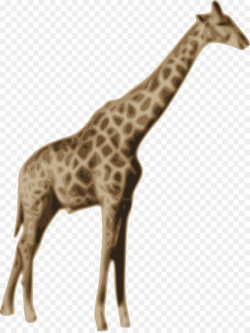 Giraffe Cartoon clipart - Giraffe, Animal, Drawing ...