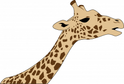 28+ Collection of Giraffe Neck Clipart | High quality, free cliparts ...