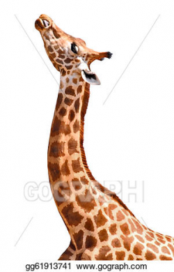 Drawing - Isolated portrait of giraffe. Clipart Drawing ...
