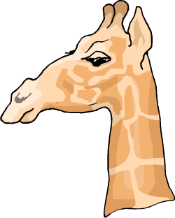 Head profile giraffe clipart