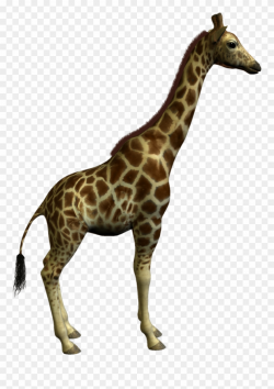Giraffe Clipart Real - Big And Small Animals - Png Download ...