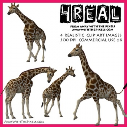 4 Real! 4 Realistic Giraffe Clip Art Images - Giraffe Clipart