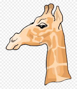 Free Giraffe Clipart - Side Profile Of A Giraffe - Png ...