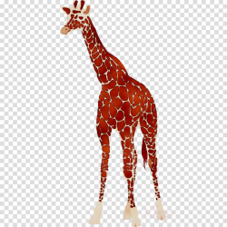 Animal Cartoon clipart - Tshirt, Giraffe, Wildlife ...