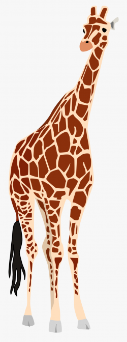 Legs Clipart Giraffe - Tall Giraffe Clipart #712540 - Free ...