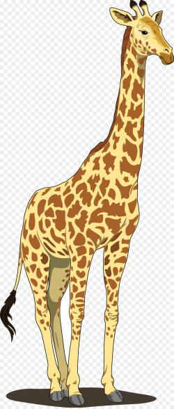 Family Cartoon clipart - Giraffe, transparent clip art