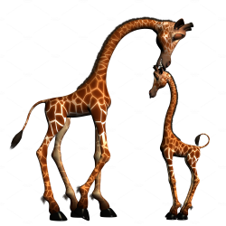 Giraffe Animal Silhouettes Infant Clip art - giraffe 2000*2000 ...