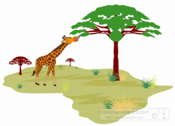 Africa clipart giraffe eating tree leaves in african land ...
