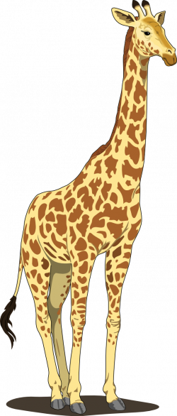 Artfavor Giraffe 2 Scalable Vector Graphics SVG Clip Art ...