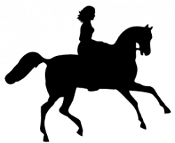 Horse Silhouette
