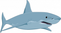 28+ Collection of Sharks Clipart | High quality, free cliparts ...