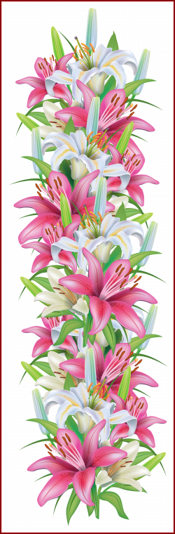 Inspiring Pink And White Lilies Decoration Border Png Clipart Image ...