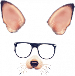 fox foxfilter glasses cute filter snapchat freetoedit...