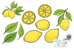Lemon Clip Art - hand drawn citrus illustrations - summer ...