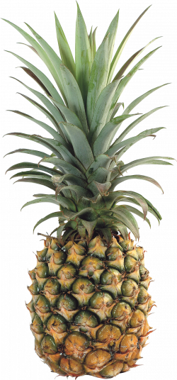 Pineapple Sixteen | Isolated Stock Photo by noBACKS.com