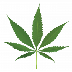 Thug Life Weed Leaf transparent PNG - StickPNG