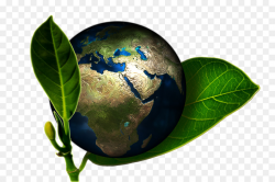 Earth Cartoon clipart - Ecology, Earth, Globe, transparent ...